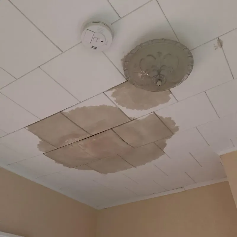 Ceiling Water Damage Repair in Krebs, OK
