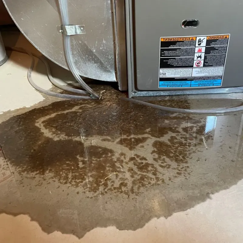 Pipe Burst and Leak Restoration in Krebs, OK